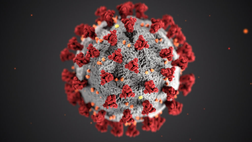 Immunsystem stärken mit einfachsten Maßnahmen und Mikronährstoffen.