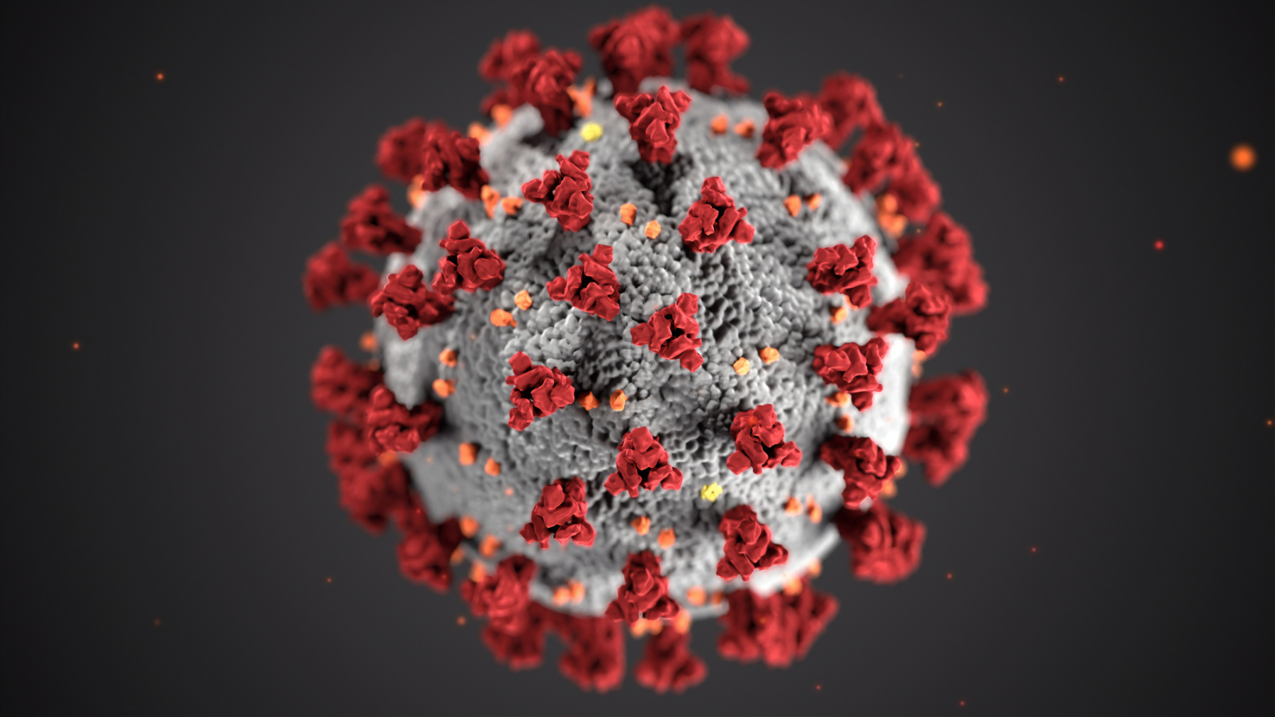 Immunsystem stärken mit einfachsten Maßnahmen und Mikronährstoffen.