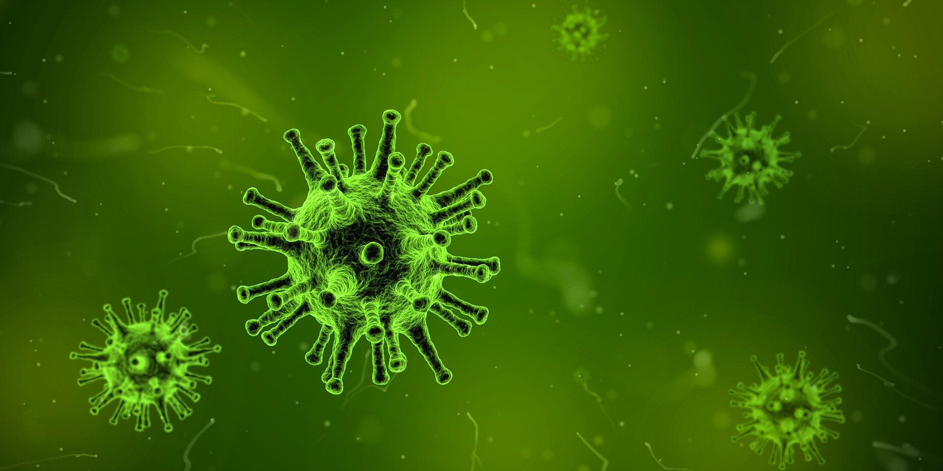 Immunsystem stärken