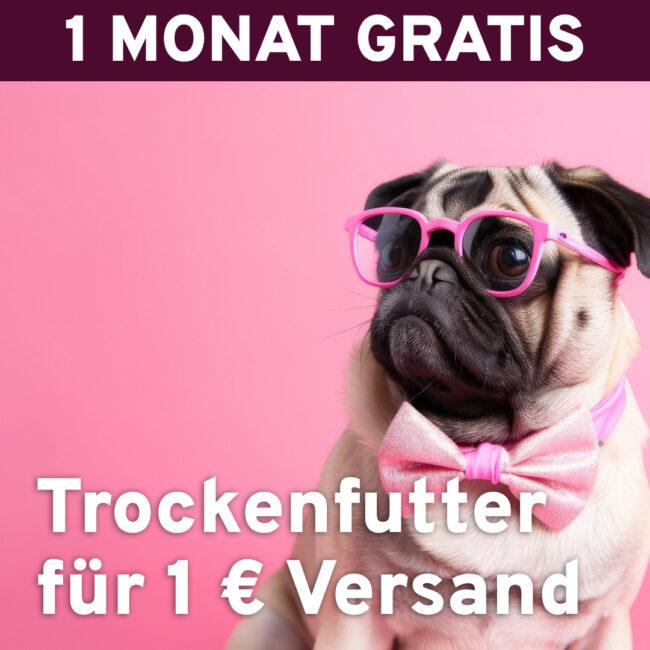 GRATIS Trockenfutter