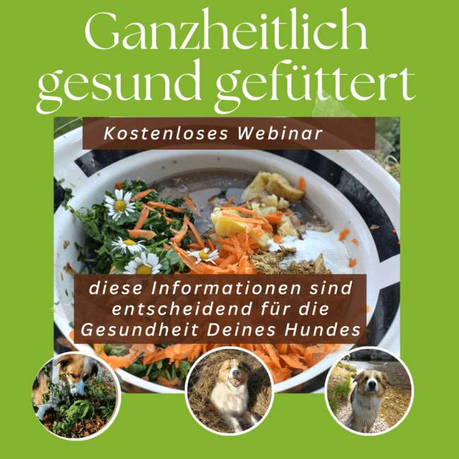 ganzheitlich gesund füttern